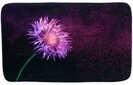 Sanilo Badematte Purple Dust, rutschhemmend, waschbar, schnelltrocknend,...
