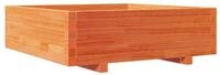 vidaXL Blumentopf Pflanzk&uuml;bel Wachsbraun 80x80x26,5 cm Massivholz Kiefer (1 St)