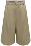 JDY Bermudas JDYBIANCA MW BERMUDA SHORTS PNT