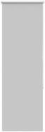 Rollo Verdunkelungsrollo Hellgrau 55x150 cm Stoffbreite 50,7 cm, vidaXL