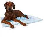 TrendPet Tierdecke Coco, Welpen-Kuscheldecke, Blau, 100% Polyester, in...