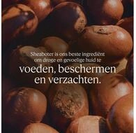 L'OCCITANE K&ouml;rperpflegemittel en Provence Sheabutter-Handcreme 20% 30 ml