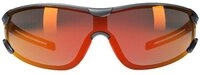 Hellberg Arbeitsschutzbrille