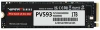 Patriot SSD-Festplatte