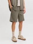 Jack & Jones Shorts JPSTJAIDEN TYSON JOGGER SHORT SRT SN Baumwolle, regular fit