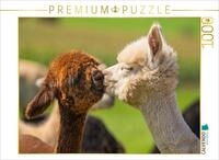 CALVENDO Puzzle CALVENDO Puzzle Alpakafohlen, 1000 Teile Lege-Gr&ouml;&szlig;e 64x48cm