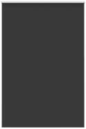 Rollo Verdunkelungsrollo Schwarz 165x210 cm Stoffbreite 161,6 cm, vidaXL