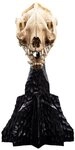 Weta Workshop Merchandise-Figur Herr der Ringe Mini Statue Skull of a Warg 20 cm