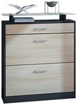 Vladon Schuhschrank Loret (h&auml;ngender Schuhkipper f&uuml;r 16 Paar Schuhe, mit 2...