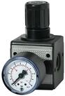 RIEGLER Druckluftschlauch Riegler Druckregler multifix inkl. Manometer BG 1 G...