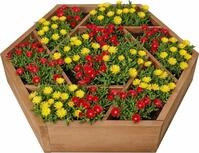 needs&wants&reg; Hochbeet Pflanzbeet gro&szlig; mit 7 Pflanzk&auml;sten sechseckig aus Holz...
