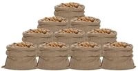vidaXL Gartensack Jutes&auml;cke 10 St&uuml;ck 100 x 110 cm 100 % Jute 340 g/m&sup2;,...