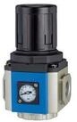 RIEGLER Druckregler Riegler Druckregler &raquo;G&laquo;, inkl. Manometer, BG 400, G 3/8,...