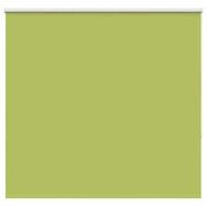 Rollo Verdunkelungsrollo Gr&uuml;n 155x150cm Stoffbreite 151,6cm Polyester, vidaXL