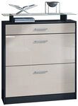Vladon Schuhschrank Loret (h&auml;ngender Schuhkipper f&uuml;r 16 Paar Schuhe, mit 2...