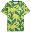 PUMA T-Shirt Senegal ftblCulture T-Shirt mit Print Herren