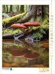 CALVENDO Puzzle CALVENDO Puzzle Gl&auml;nzender Lackporling im verwunschenen Wald,...