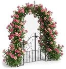relaxdays Rosenbogen Schwarzer Rosenbogen mit T&uuml;r
