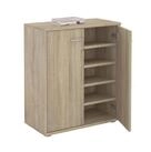 CARO-M&ouml;bel Schuhschrank LENNIS Schuhschrank Schuhkommode Aufbewahrung...