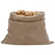 vidaXL Gartensack Jutes&auml;cke 30 Stk. 100x110 cm 100% Jute 220 g/m&sup2;, (30-tlg)