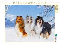 CALVENDO Puzzle CALVENDO Puzzle Drei Collie-Prachtr&uuml;den, 2000 Teile...