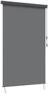 Rollo Rollo Hellgrau 180 x 250 cm Stoff und Aluminium, vidaXL