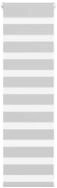 Rollo Doppelrollo Hellgrau 50x100 cm Stoffbreite 45,9 cm Polyester, vidaXL