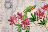 living walls Fototapete ARTist Bird Discovery, (Set, 4 St), Vlies, Wand,...
