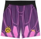 PUMA Sporthose Borussia Dortmund 26/27 Torwartshorts Herren