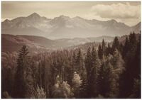 Wallarena Fototapete Wald Berge - Mehrfarbig - Modern - Vlies - Schlafzimmer,...