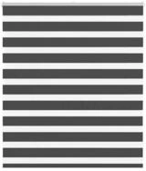 Rollo Doppelrollo Schwarz 125x100 cm Stoffbreite 120,9 cm Polyester, vidaXL