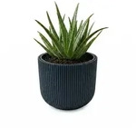 Prosperplast Blumentopf Milly, inkl. Pflanzeinsatz, 29,8 x 25,7 cm grau &Oslash; 29.8...