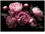 Wallarena Fototapete Blumen, Querformat, Schlafzimmer, glatt, Blumen, 250x175cm...
