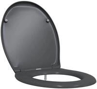 vidaXL WC-Sitz Toilettensitz Anthrazit 47 x 37 x 4 cm Duroplast (1-St)