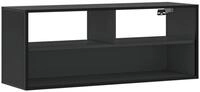 vidaXL TV-Schrank TV-Schrank Schwarz 100x31x39,5 cm Holzwerkstoff und Metall...