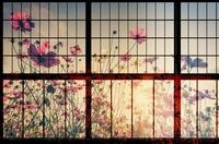 living walls Fototapete Walls by Patel Meadow 1, glatt, (4 St), Vlies, Wand,...