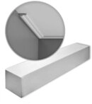 Orac Decor Deckenleiste CX160 Zierleisten 1 Karton SET 32 Stuckleisten 64 m, kleben,