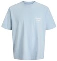 Jack & Jones Junior T-Shirt JORNORREBRO TYPO TEE S/S CREW NECK SN JNR