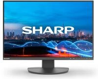 NEC MultiSync DD-EA241W Black TFT-Monitor (1920 x 1200 px, Full HD, 5 ms