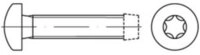 Contorion Schraube DIN 7500 Form CE Gewindefurchende Linsenkopfschraube VG M5x8...