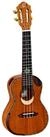 ORTEGA Guitars Ukulele, Eclipse-CC4, Ukulelen, Konzert Ukulelen, Eclipse-CC4 -