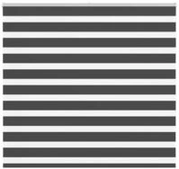 Rollo Doppelrollo Schwarz 155x150 cm Stoffbreite 150,9 cm Polyester, vidaXL