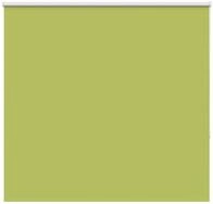 Rollo Verdunkelungsrollo Gr&uuml;n 160x130cm Stoffbreite 156,6cm Polyester, vidaXL