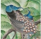 Superfresco Easy Fototapete Peacock, animal print, (1 St), 280x200cm