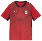 PUMA Trainingsshirt &Auml;gypten Heimtrikot Jugendliche
