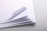 CLAIREFONTAINE Zeichenpapier Bristolpapier A4 205g, 20 Bogen kariert 975167C,...