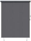 Rollo Rollo Anthrazit 200 x 250 cm Stoff und Aluminium, vidaXL
