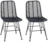 vidaXL Esszimmerstuhl Esszimmerstuhl 2 pcs Rattan und Eisen Schwarz (2 St)