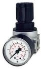 RIEGLER Druckregler Riegler Druckregler durchg. Druckvers. &raquo;multifix-mini&laquo;, G...