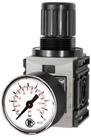 RIEGLER Druckregler Riegler Druckregler, d. DV &raquo;FUTURA-mini &laquo;, Standardmano.,...